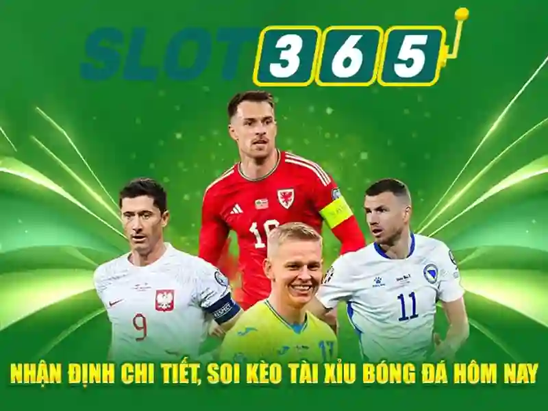 Chơi Có Trách Nhiệm Slot365