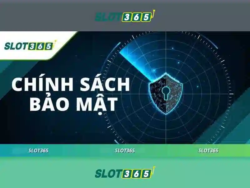 Tại sao chọn slot365
