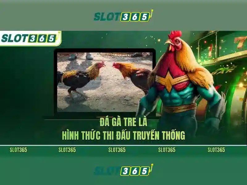 Dịch vụ Slot365
