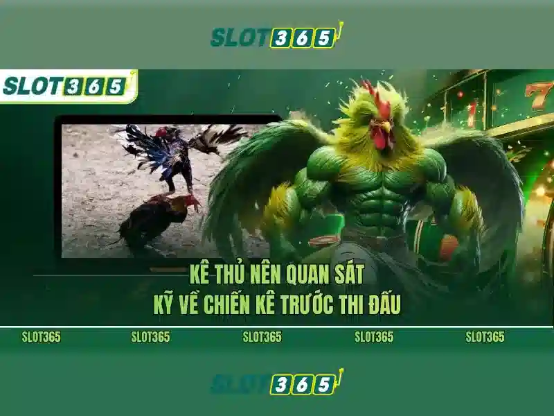 Slot365 Alternatif: Lựa Chọn Thay Thế Tối Ưu