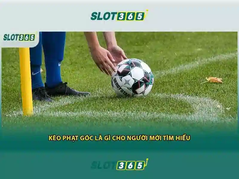 Giới Thiệu Về SLOT365