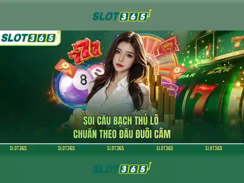 Quản Lý Tài Khoản Slot365