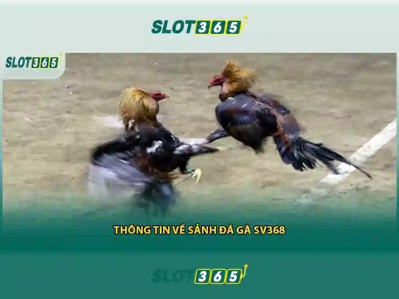 Xổ Số SLOT365