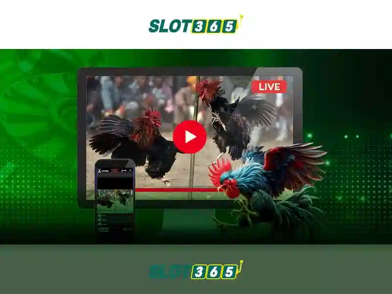 Trải Nghiệm Slot365 Uy Tín Không