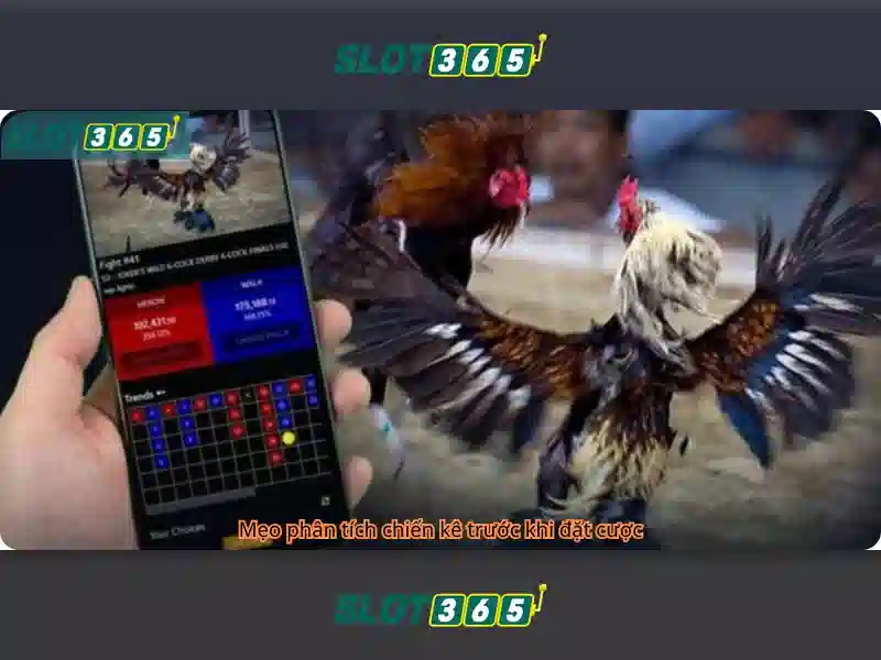 Tại Sao Nên Chọn Slot365 Alternatif