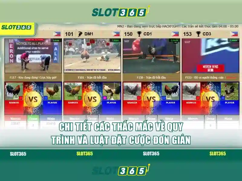 Đánh Giá Slot365 Có Lừa Đảo Không