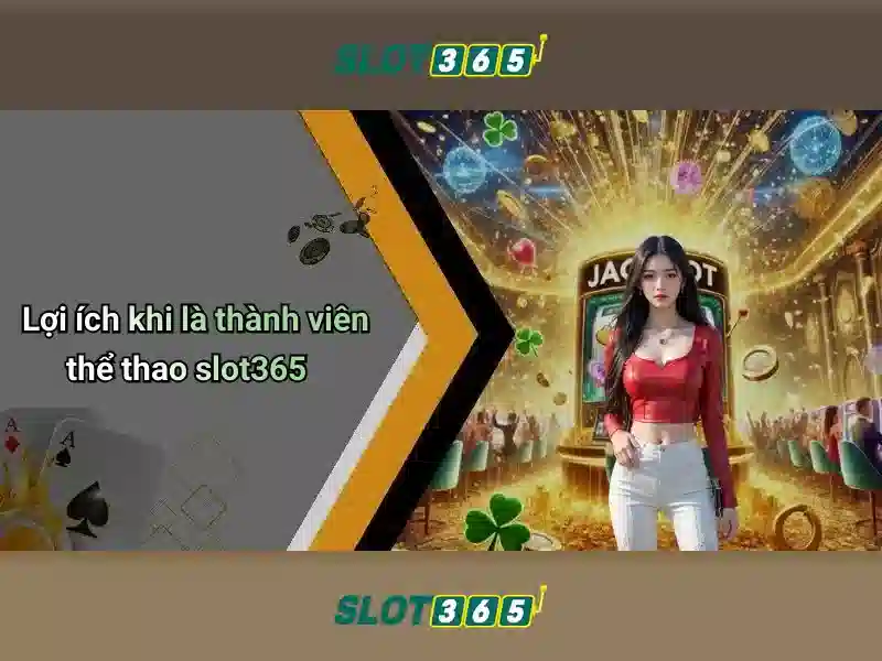 hoki slot365