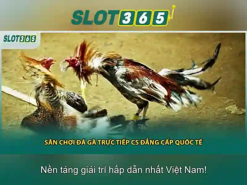 SLOT365 – Trang Chủ Chính Thức | Dịch Vụ Slot Đa Dạng và An Toàn 2026