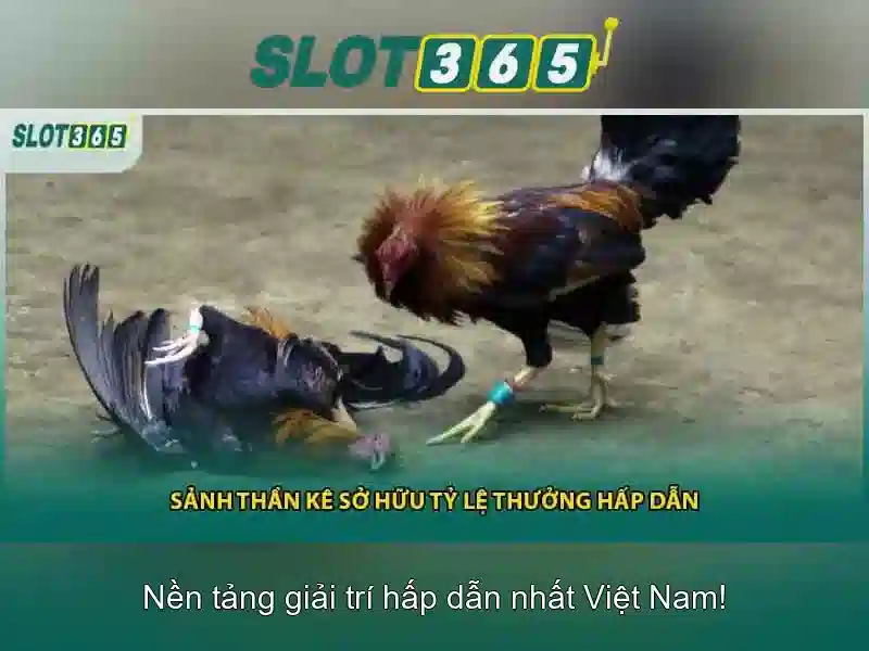 Slot365 Có Lừa Đảo Không？
