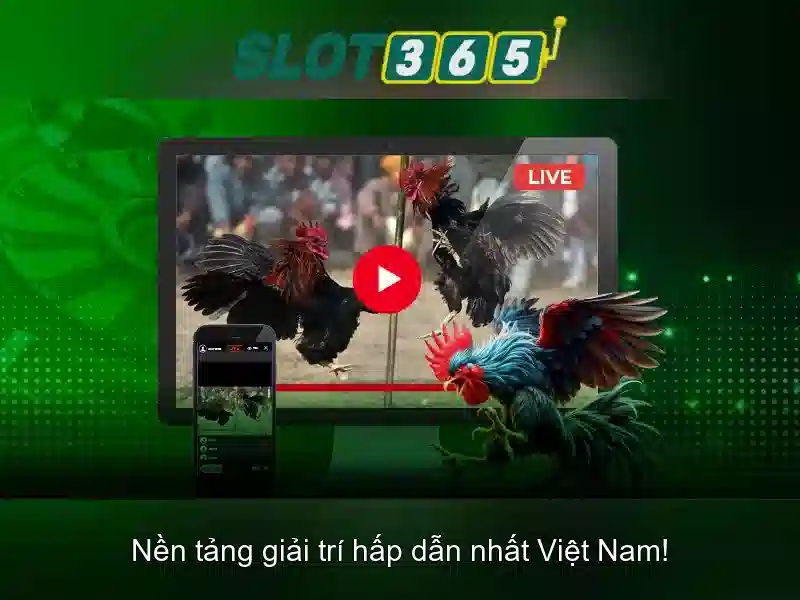 Khuyến Mãi Slot365
