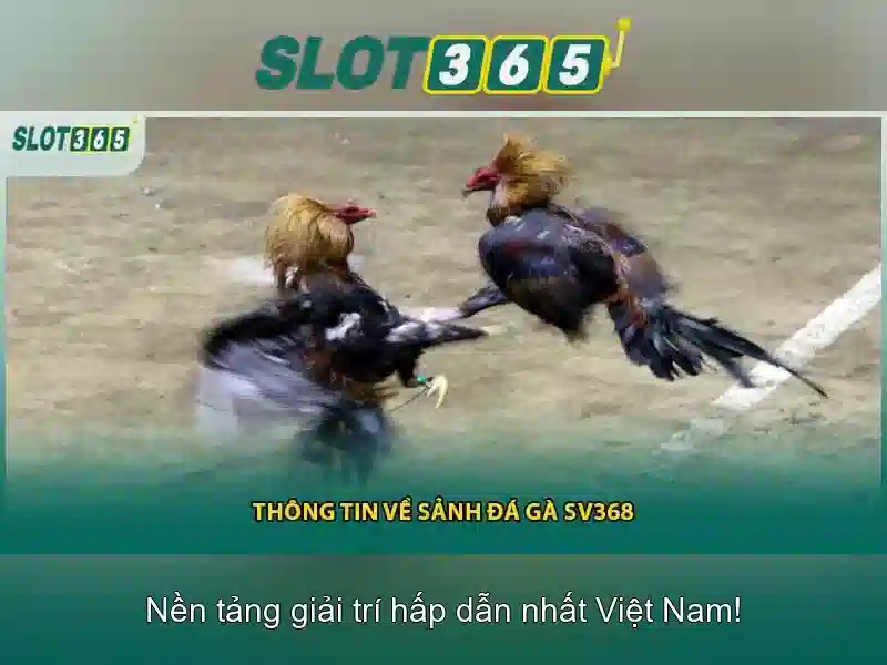 Trải nghiệm SLOT365