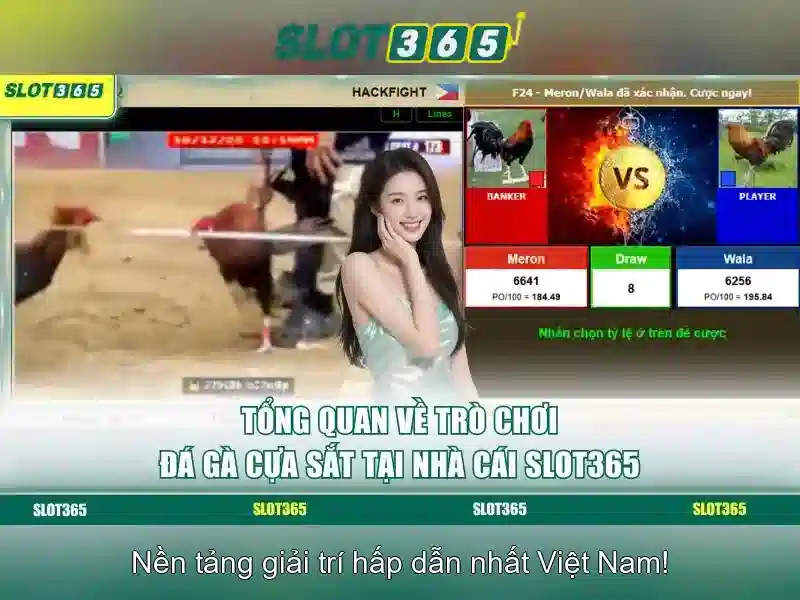 SLOT365 Bet