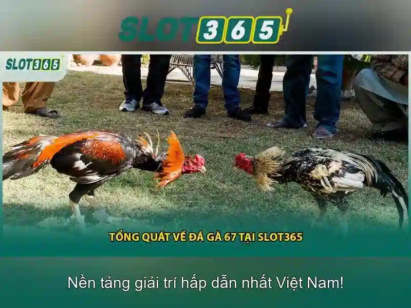 ưu đãi hoki slot365