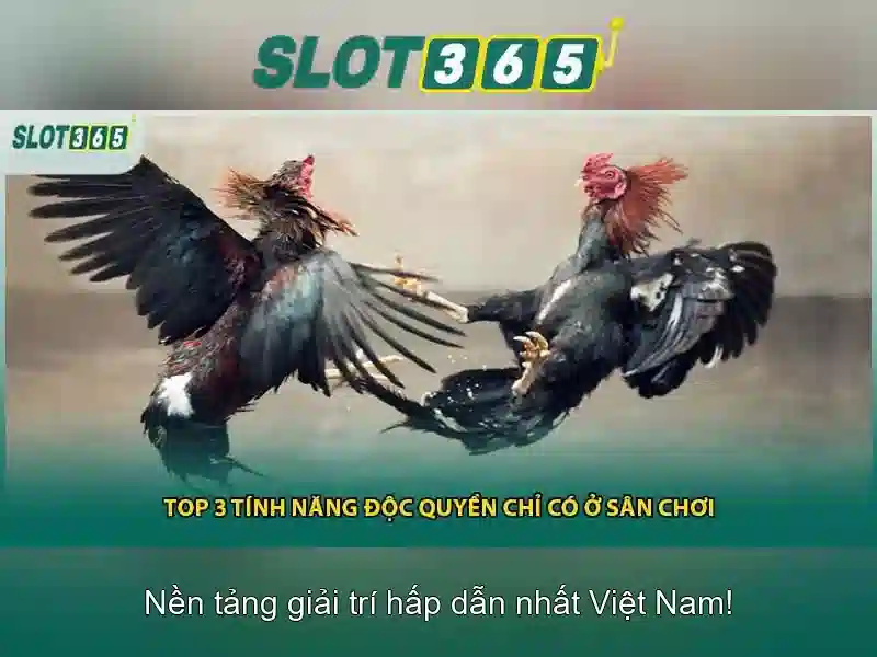 Đặc điểm nổi bật Slot365