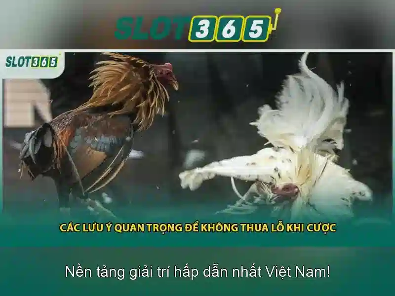SLOT365 APK