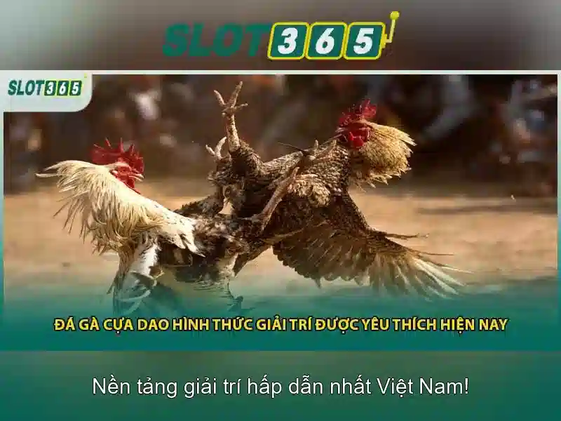 Cổng game Slot365 an toàn không bị chặn 2026