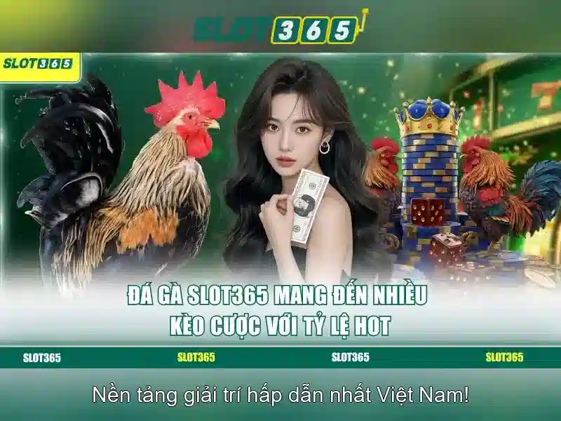 Slot365 an toàn không