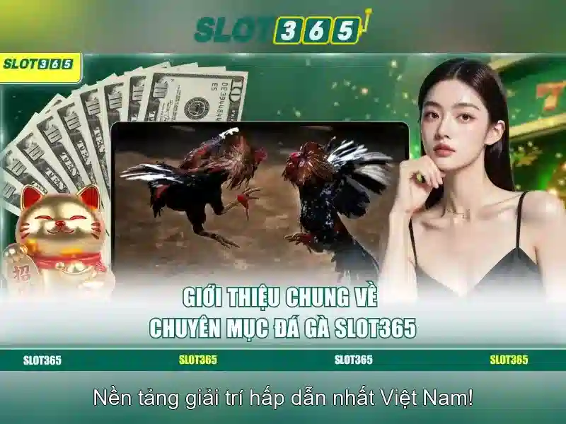 SLOT365 – Trải Nghiệm Chơi Slot Đa Dạng