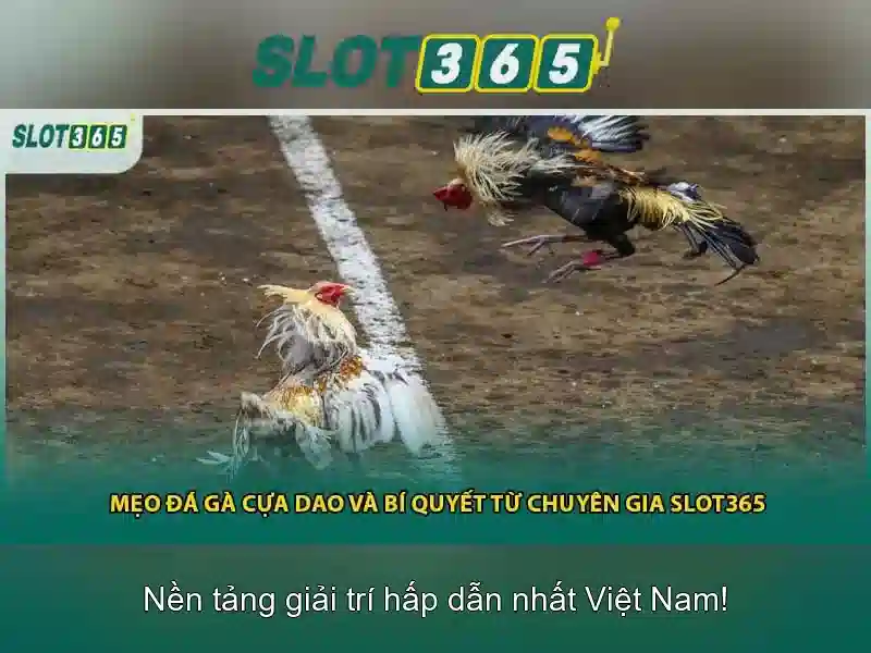 SLOT365 – Cơ Hội Trúng Thưởng Bạc Tỷ Hấp Dẫn Tại slot365