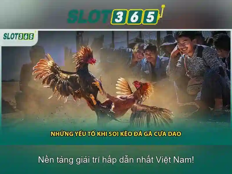 trải nghiệm cá cược đỉnh cao