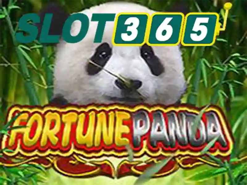 trải nghiệm SLOT365
