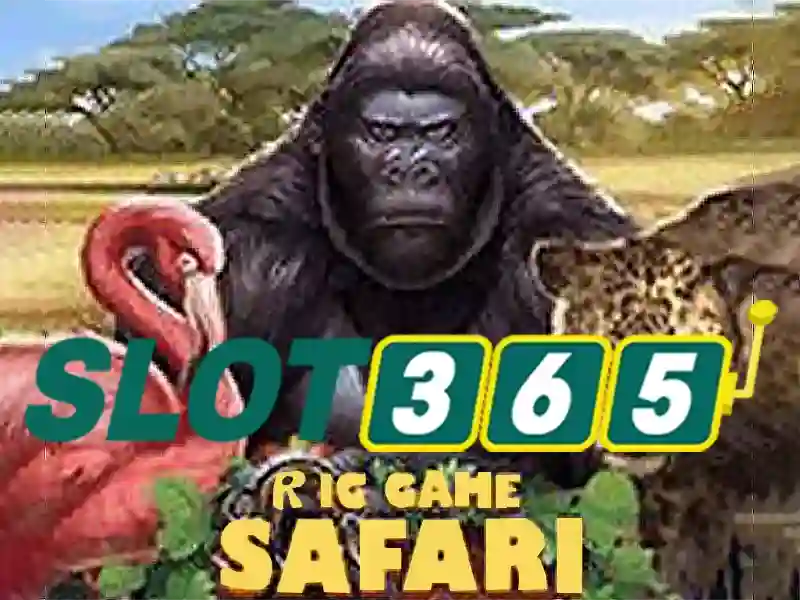 SLOT365 tiêu chuẩn